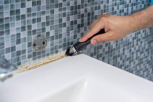 Professional Mold Remediation in Queens, NY